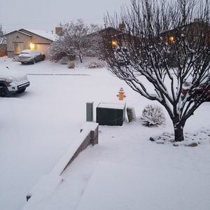 Meet your Posher, Joe